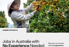 Jobs in Australia with No Experience Needed